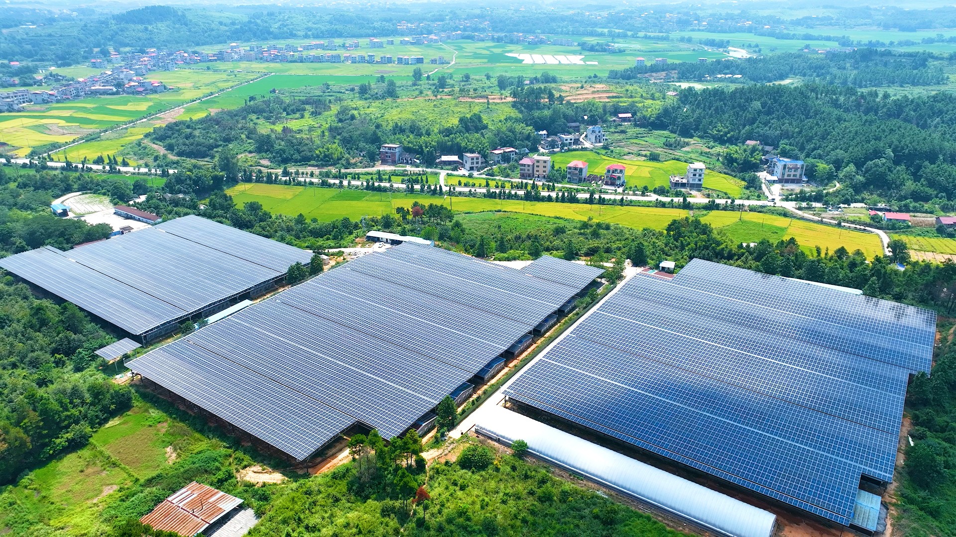 888���š����й������ٷ���վ