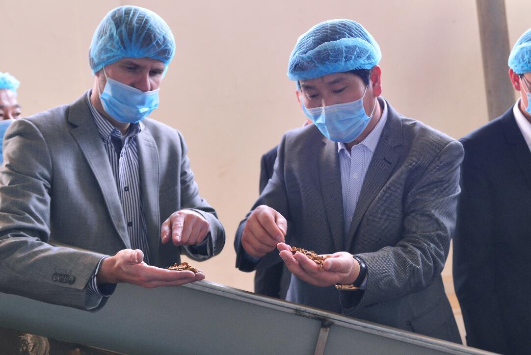 �е���ŷ����