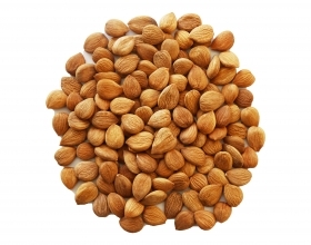 �½�������