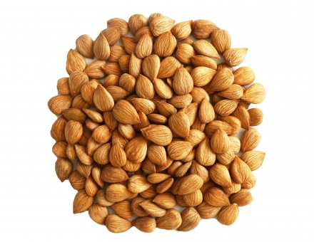 ��һ������