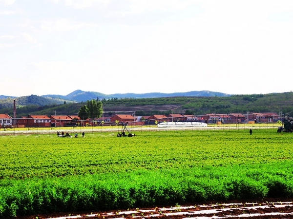 ��ҩ�ļӹ�����