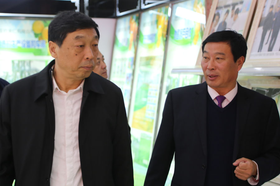 �ӱ�ʡ��ʡ��ʱ��˪����ŷ�����Ӳ�