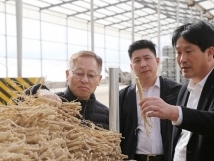 ���һ�ӭ������̵��ҹ�˾���н���