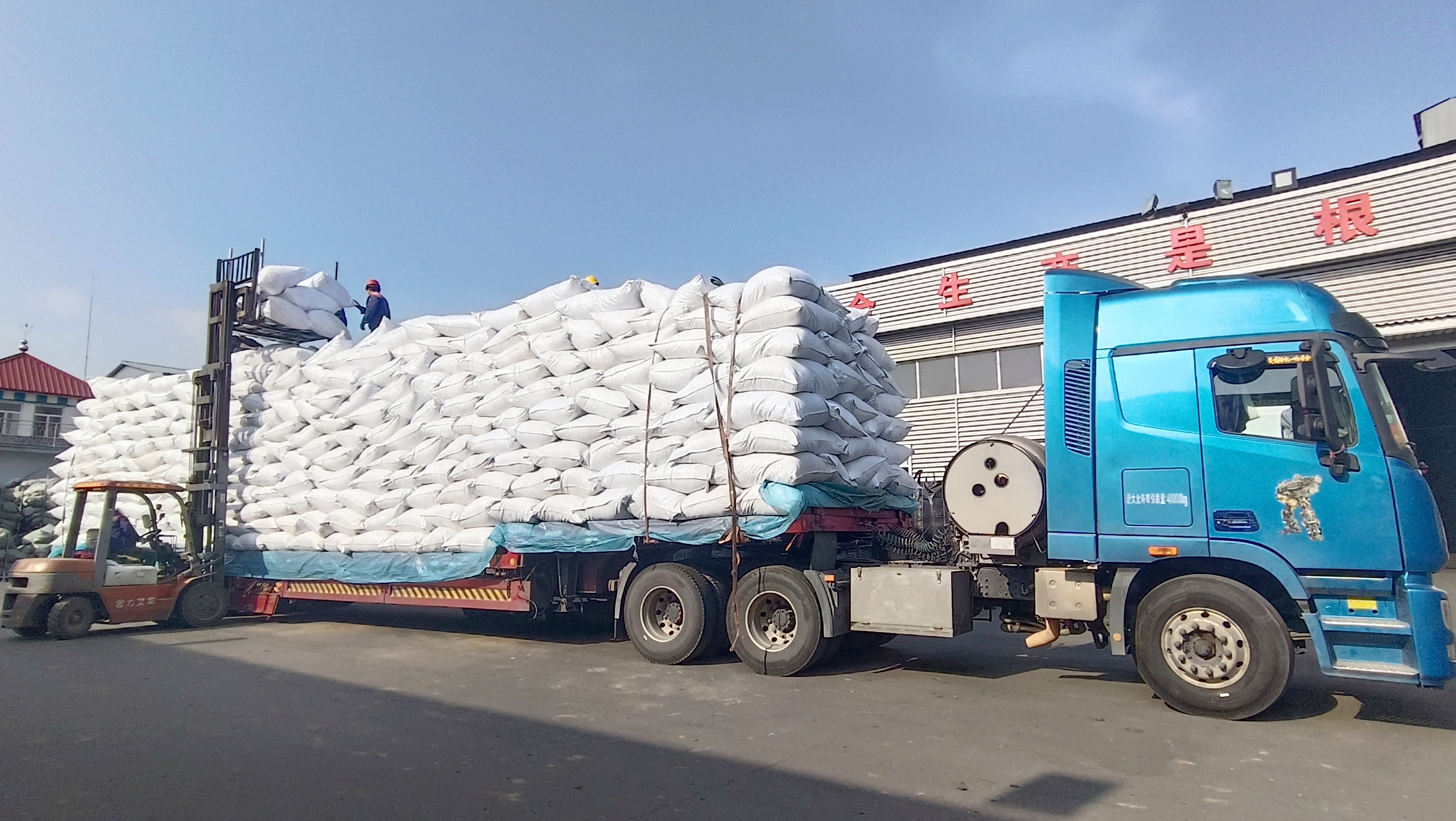 ����ʱ����í�㾢ͷ�����ƶ���